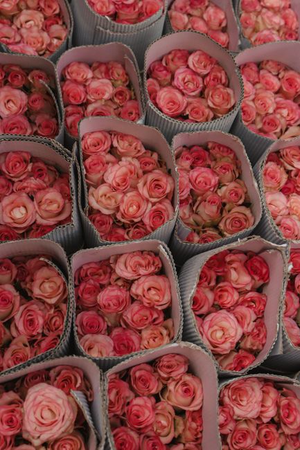 https://flowerstemple.co.uk/blog/insider-guide-to-choosing-wedding-flowers-across-the-uk/
