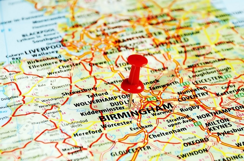 Florists chrysanthemums